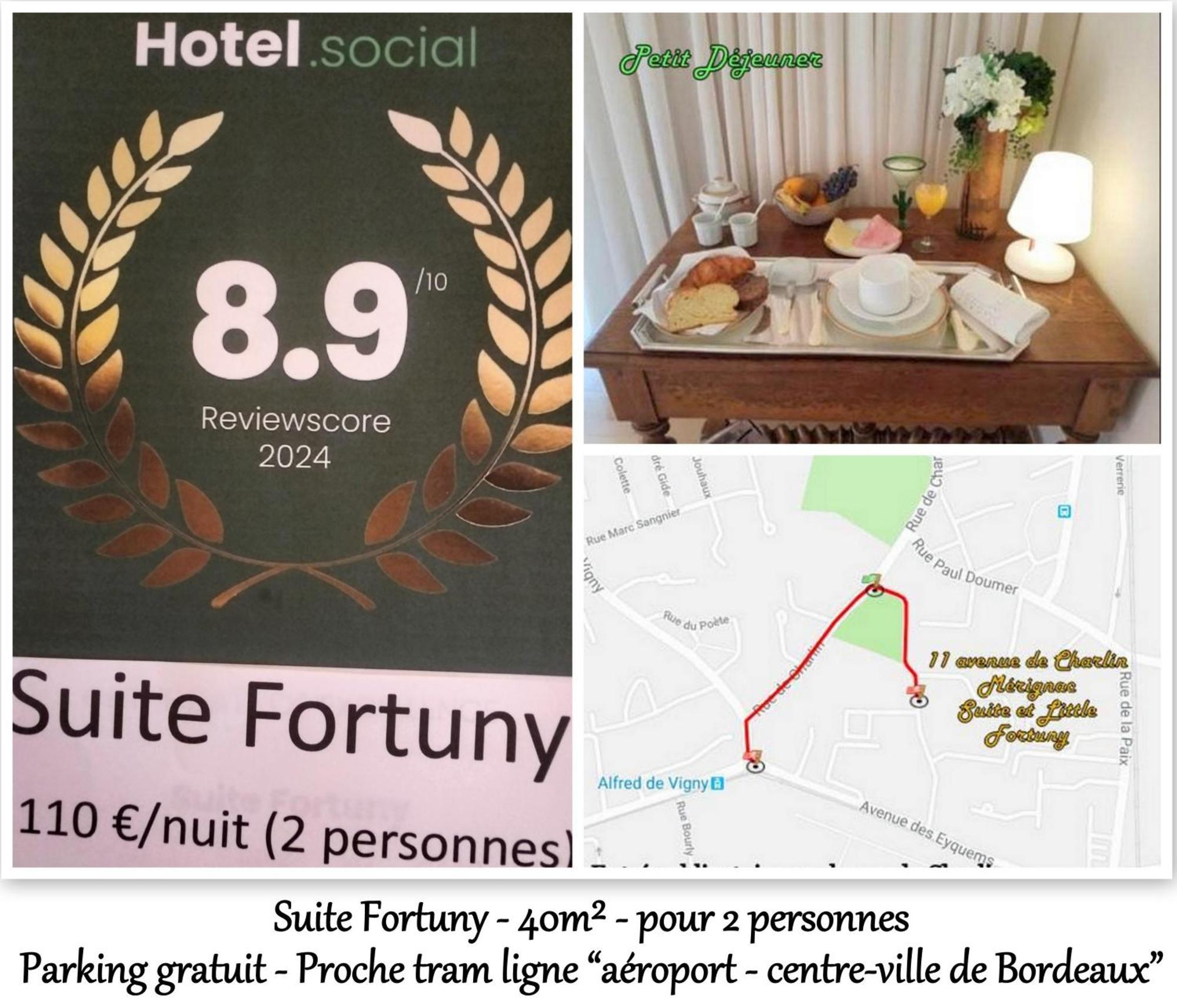 Le Fortuny - 3 Suites, 2 Apparts, 1 Chambre - Proche Tram Ligne Aeroport Et Parking Gratuit Merignac  Bagian luar foto